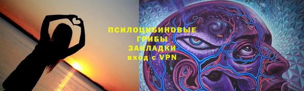 ГАЛЛЮЦИНОГЕННЫЕ ГРИБЫ Алексин