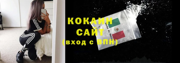 СК Алзамай