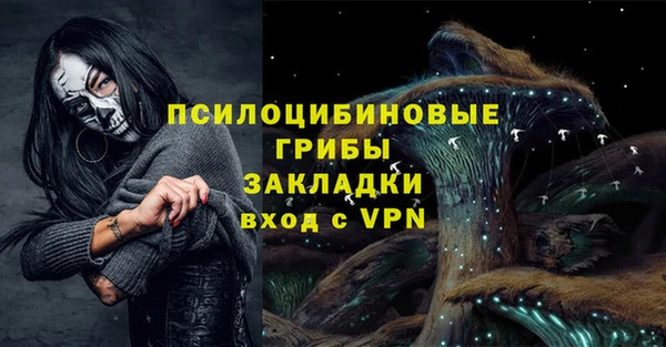 СК Алзамай