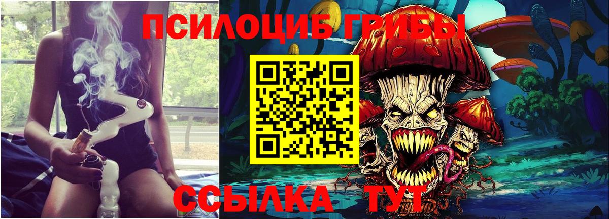 Псилоцибиновые грибы Psilocybine cubensis Нижнеудинск