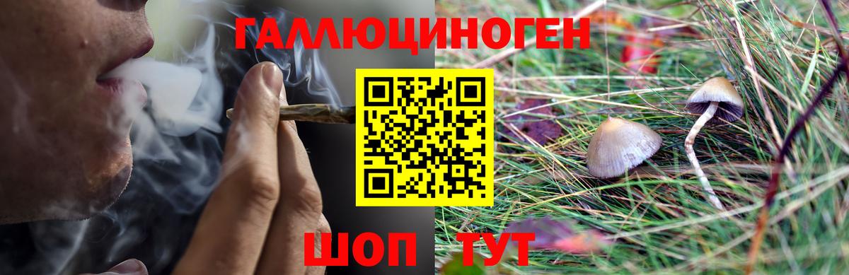 Галлюциногенные грибы Cubensis  Вход с VPN  Галлюциногенные грибы мицелий  Нижнеудинск 
