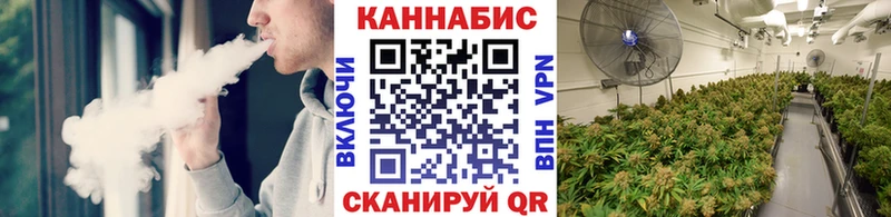 Каннабис план  Нижнеудинск 